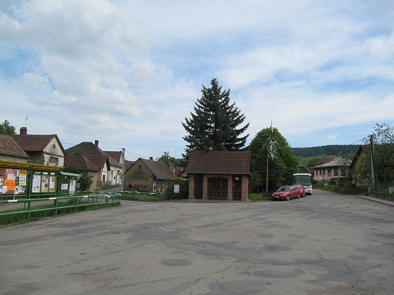 Vyklízení Šanov